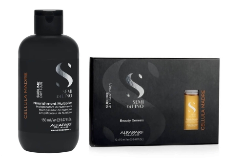 Alfaparf cellula madre Zestaw do włosów suchych multiplikator 150ml i ampułki beauty genesis 12x13ml 