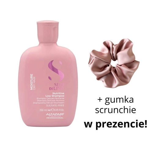 ALFAPARF SDL MOISTURE - Nutritive Szampon nawilżający do włosów suchych 250ml + scrunchie